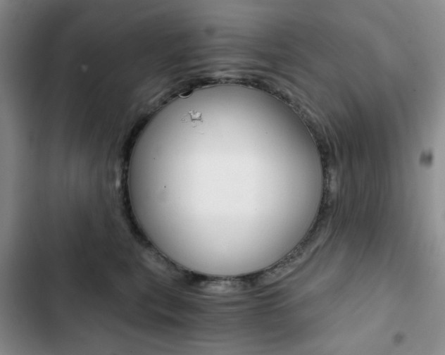 X0000102820567200808181027