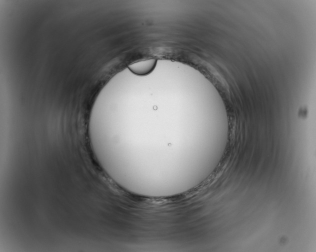 X0000102820569200808181027