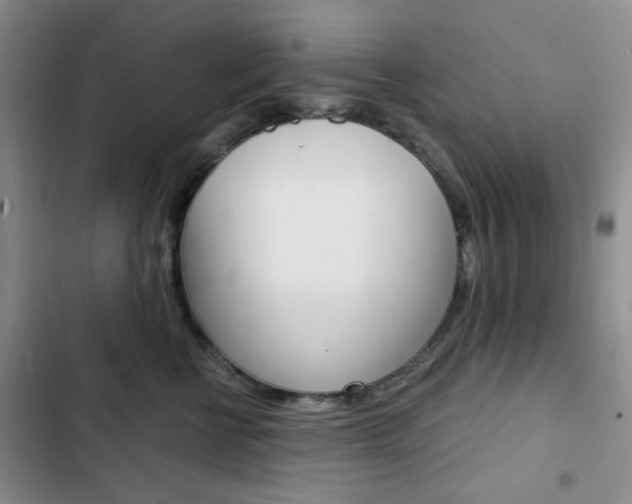 X0000102820570200808181027