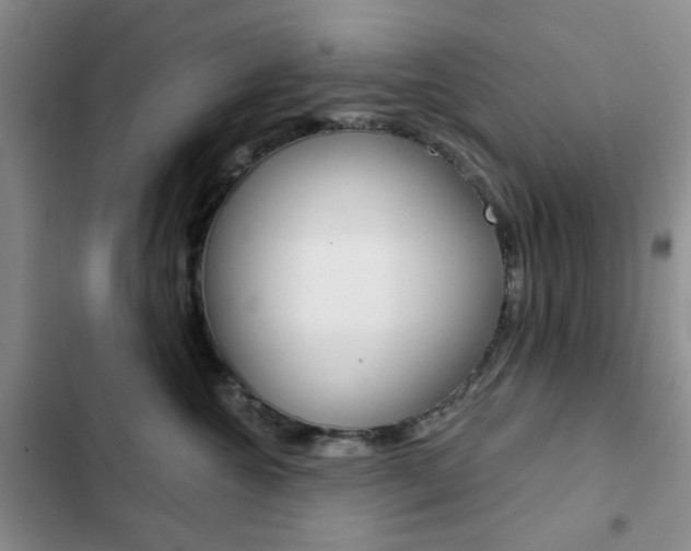 X0000102820572200808181027