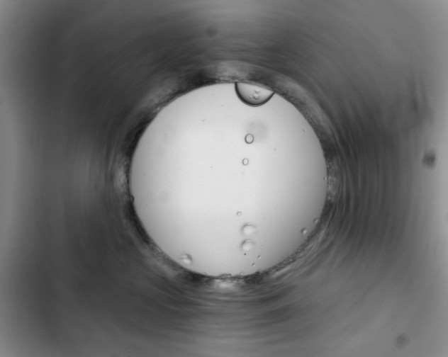 X0000102820573200808181027