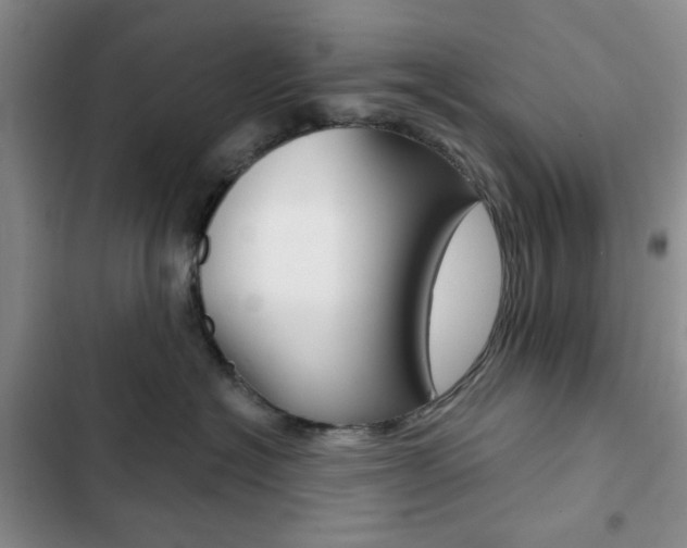 X0000102820574200808181028
