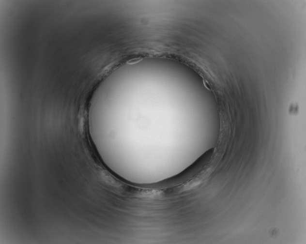 X0000102820576200808181028