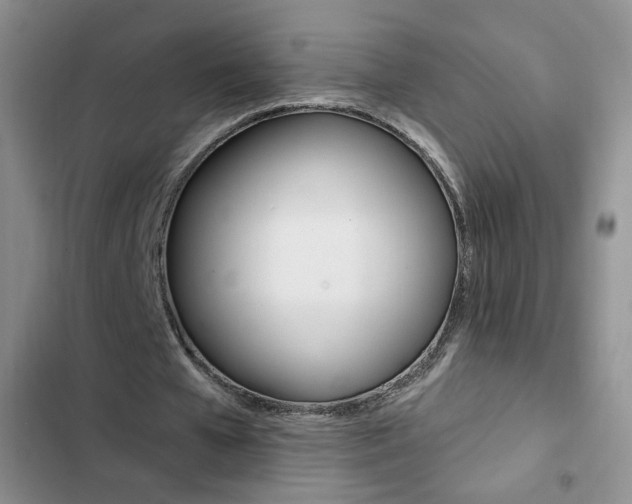 X0000102820577200808181027
