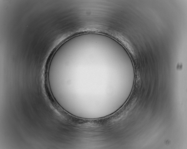 X0000102820578200808181027