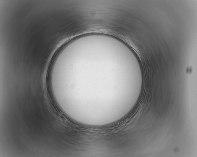 X0000102820579200808181027