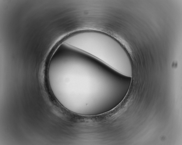 X0000102820580200808181027