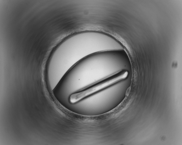 X0000102820581200808181027