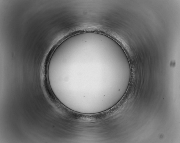 X0000102820582200808181027
