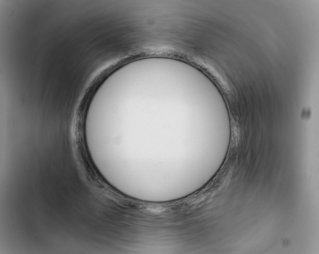 X0000102820583200808181027