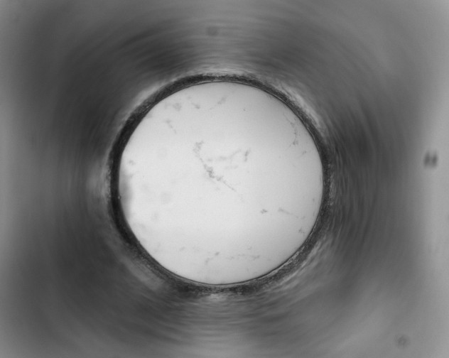 X0000102820584200808181027