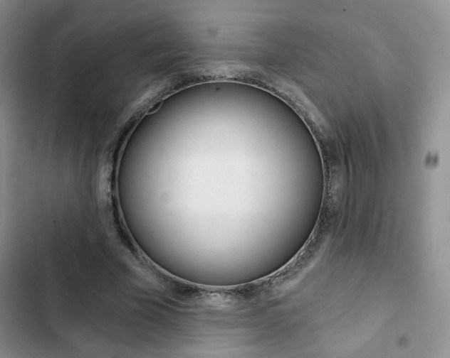 X0000102820585200808181027