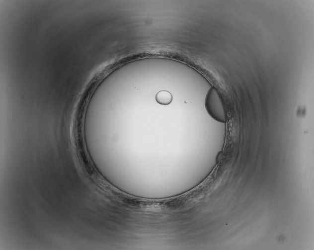 X0000102820587200808181027