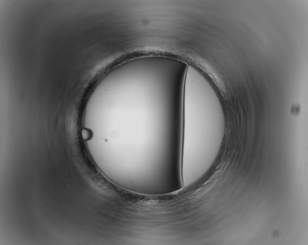 X0000102820588200808181027