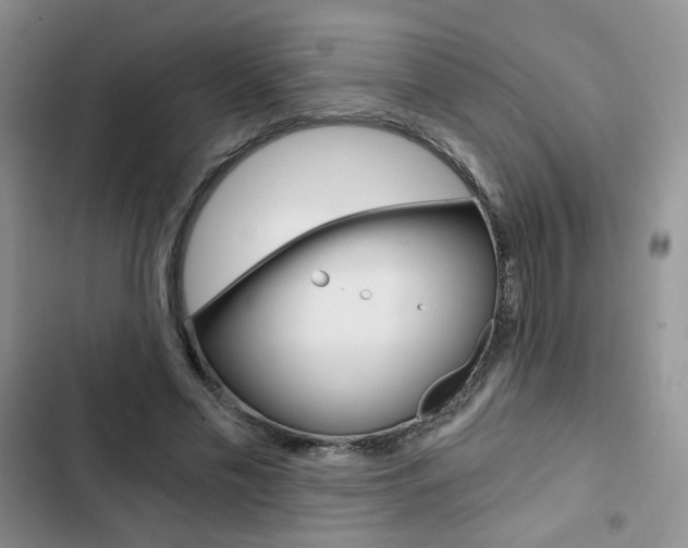 X0000102820589200808181027