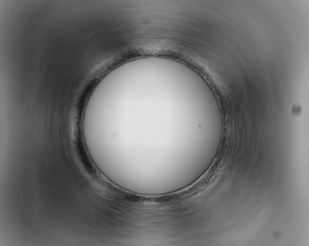 X0000102820590200808181027