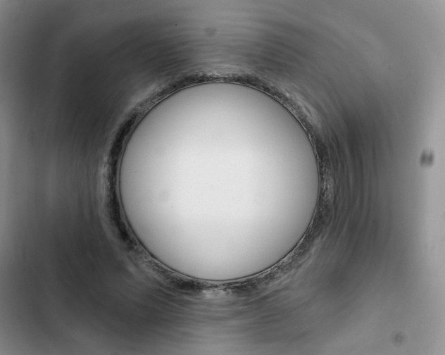 X0000102820591200808181027