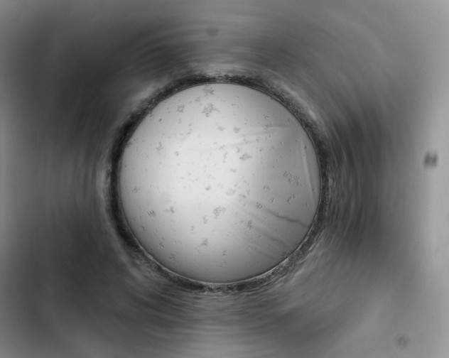 X0000102820592200808181027