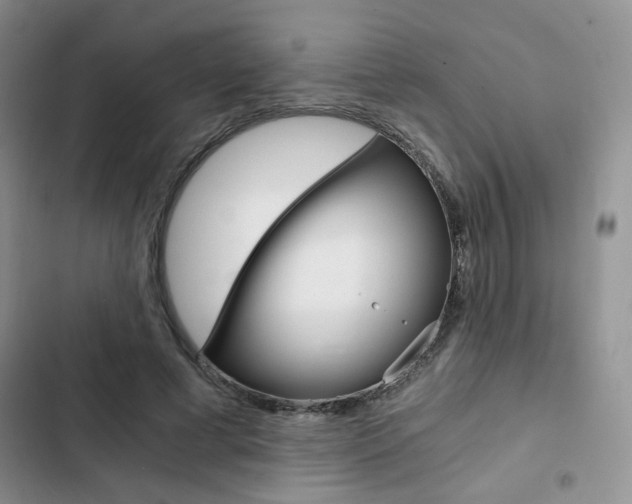 X0000102820593200808181027