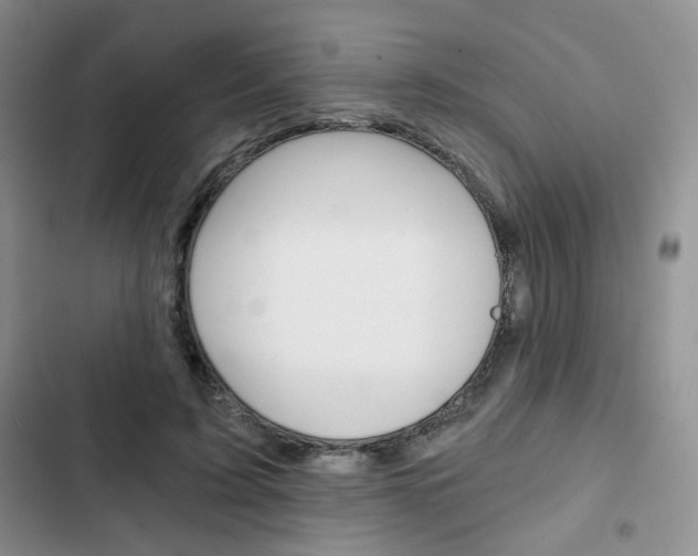 X0000102820595200808181027