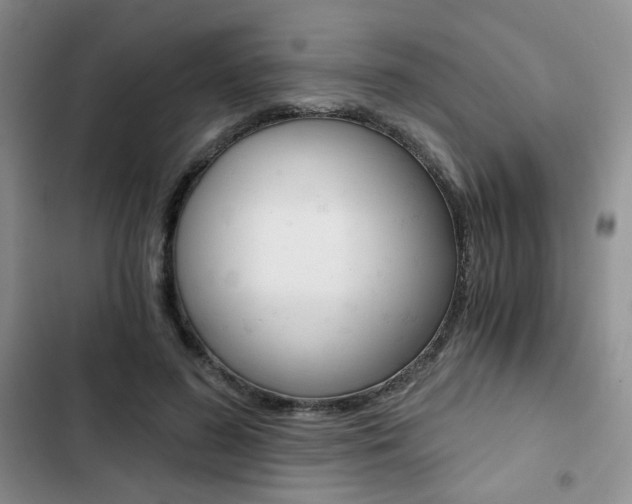X0000102820596200808181027
