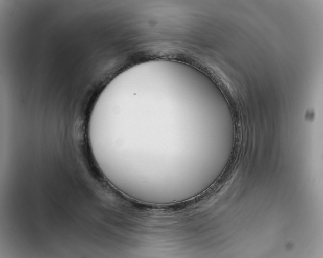 X0000102820597200808181027