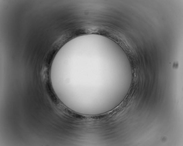 X0000102820598200808181027