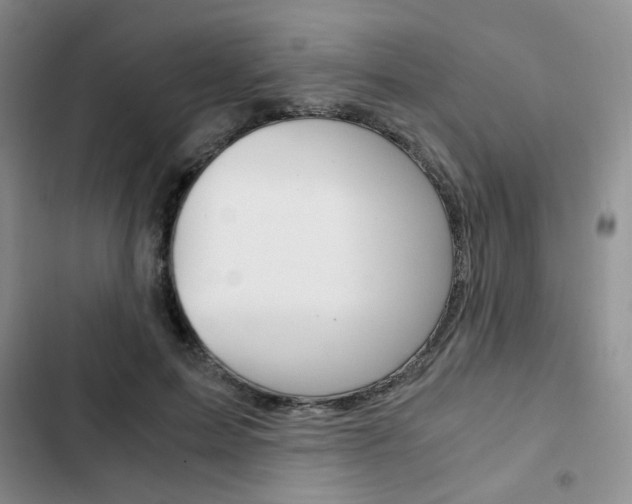 X0000102820599200808181027