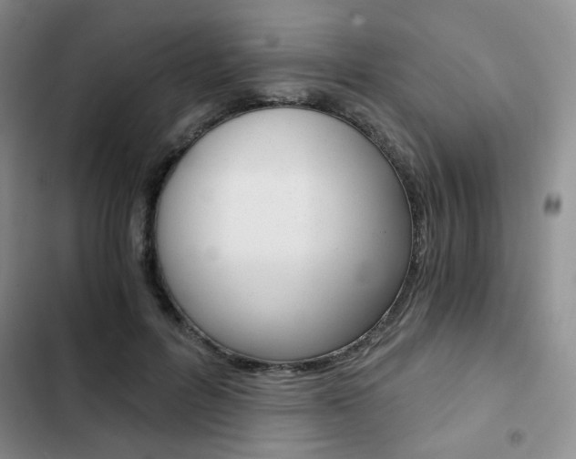 X0000102820600200808181027