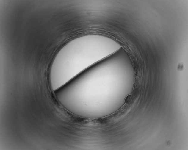 X0000102820601200808181027