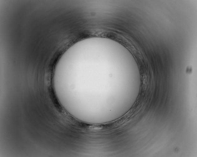 X0000102820602200808181027