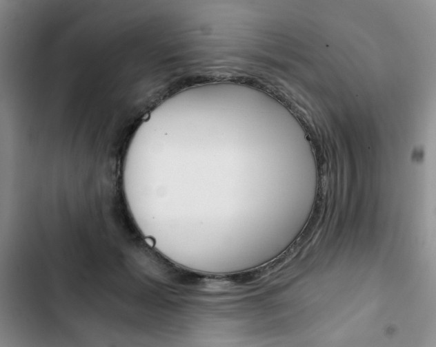 X0000102820605200808181026