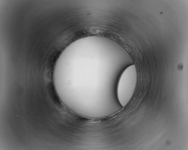 X0000102820606200808181026
