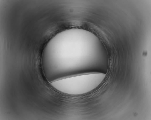X0000102820608200808181026