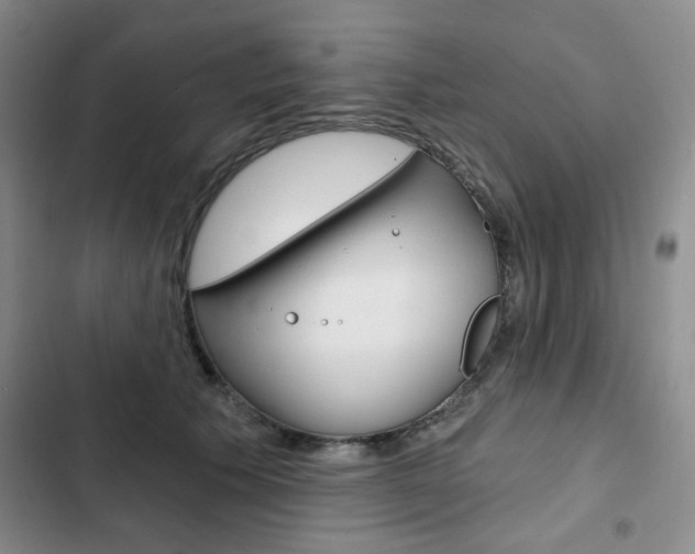 X0000102820609200808181026