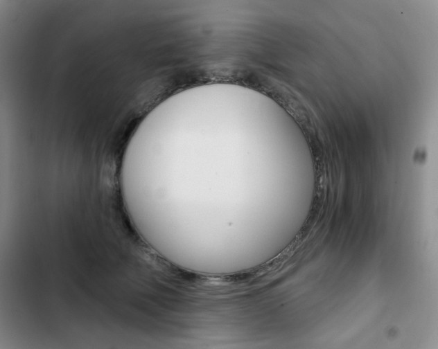 X0000102820610200808181026