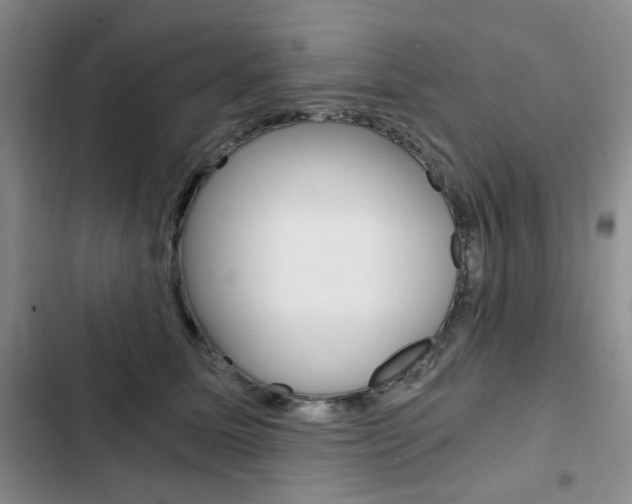 X0000102820611200808181026