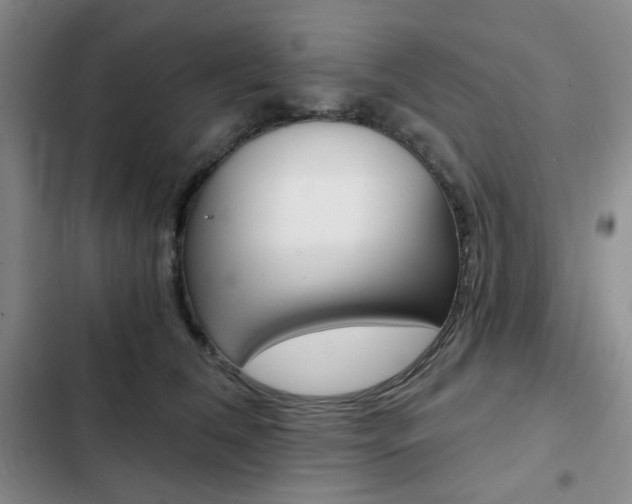 X0000102820612200808181026