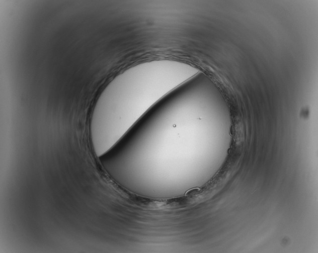 X0000102820613200808181026