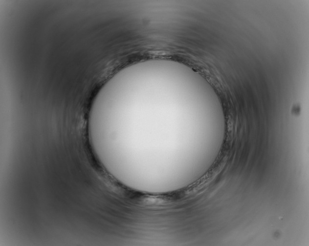X0000102820614200808181026