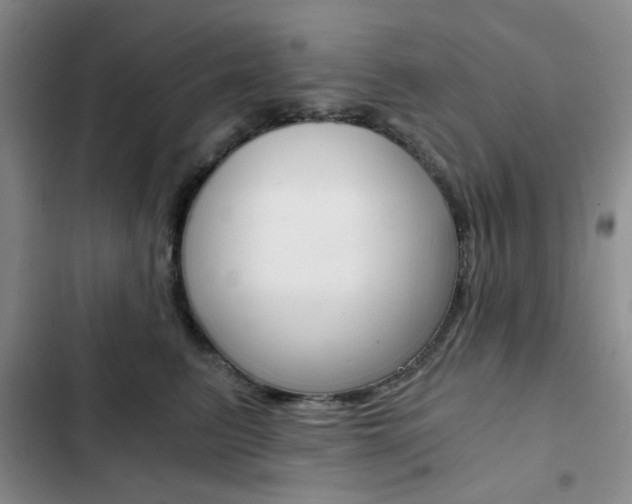 X0000102820615200808181026