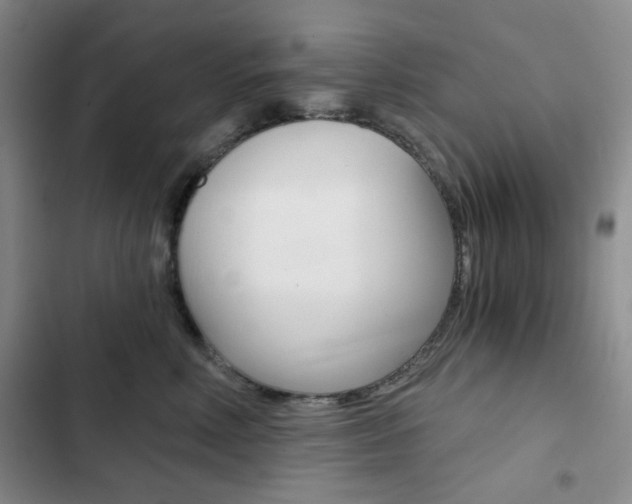 X0000102820618200808181026