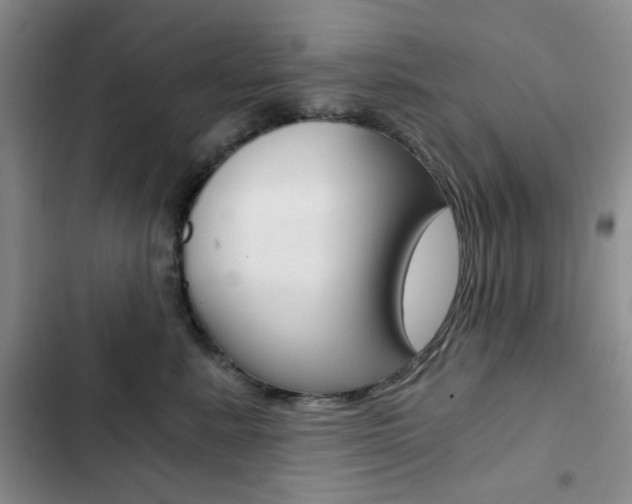 X0000102820619200808181026