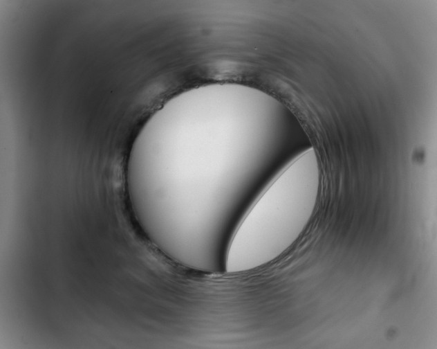 X0000102820620200808181026