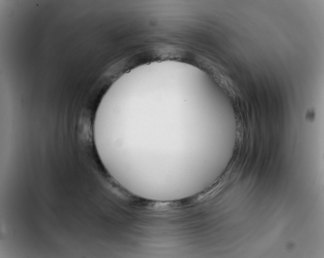 X0000102820622200808181026
