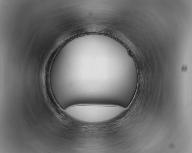 X0000102820626200808181026
