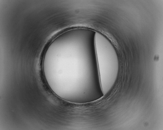 X0000102820628200808181026