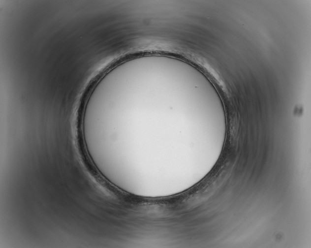 X0000102820629200808181026