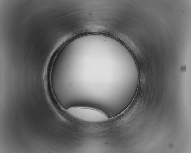 X0000102820630200808181026