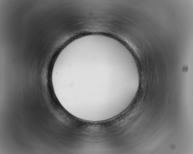 X0000102820631200808181026